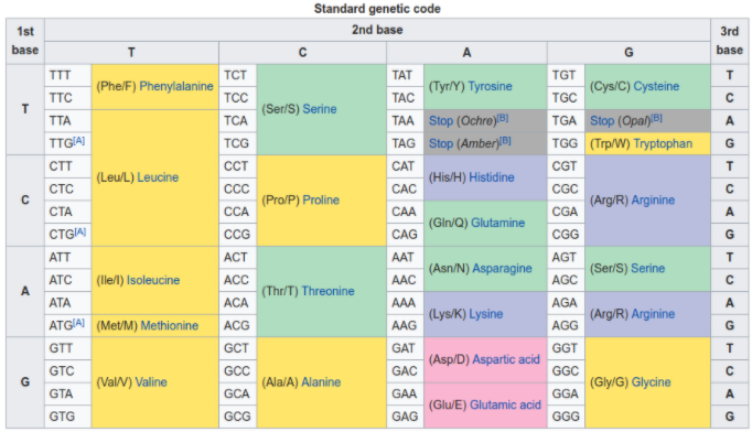 DNA/Codon Table from Wikipedia